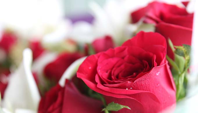 5 sinais de que um homem está apaixonado por você