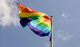 desabafos de gays lesbicas bisexuais e transexuais